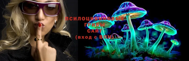 Псилоцибиновые грибы Psilocybine cubensis  Закаменск 